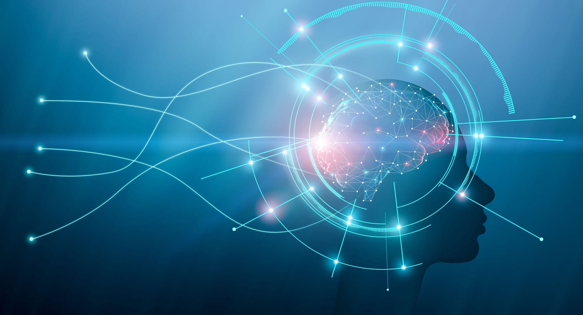 Buy the Model, Build the Moat: Where Does AI Advantage Actually Come From?